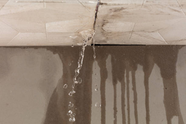 Professional Structural Drying technician working in Rockwell, NC